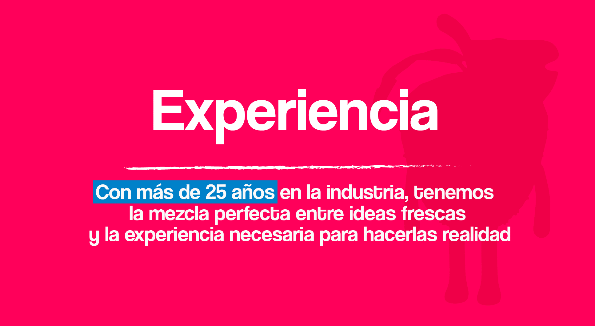 Experiencia